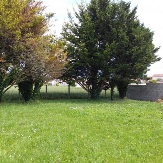 AGENCE IMMOBILIERE DE L'HOTEL DE VILLE : Terrain | AIGREFEUILLE-D'AUNIS (17290) | m2 | 49 500 € AGENCE IMMOBILIERE DE L'HOTEL DE VILLE : Terrain | AIGREFEUILLE-D'AUNIS (17290) | m2 | 49 500 €