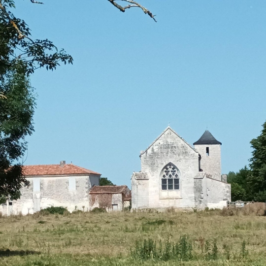 AGENCE IMMOBILIERE DE L'HOTEL DE VILLE : Terrain | LE MUNG (17350) | m2 | 27 876 € 