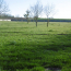  AGENCE IMMOBILIERE DE L'HOTEL DE VILLE : Maison / Villa | LA ROCHELLE (17000) | 85 m2 | 231 000 € 