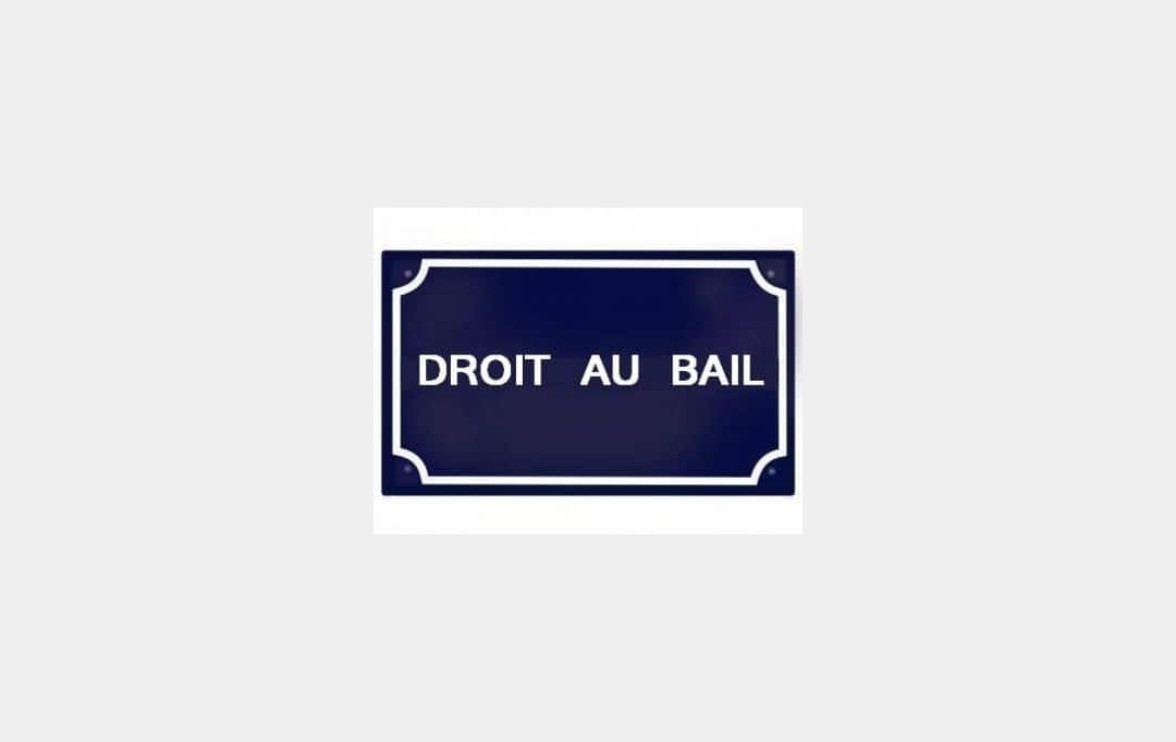 AGENCE IMMOBILIERE DE L'HOTEL DE VILLE : Local / Bureau | AIGREFEUILLE-D'AUNIS (17290) | 39 m2 | 5 000 € 